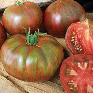 Pink Berkeley Tomato Solanum lycopersicum seeds for garden bed planting